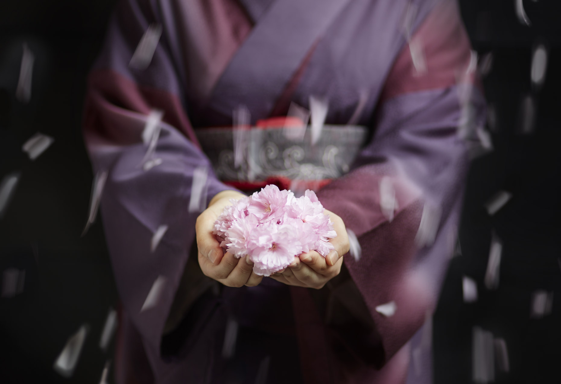 Cascading sakura at The Ritz-Carlton, Kyoto | Japan | 